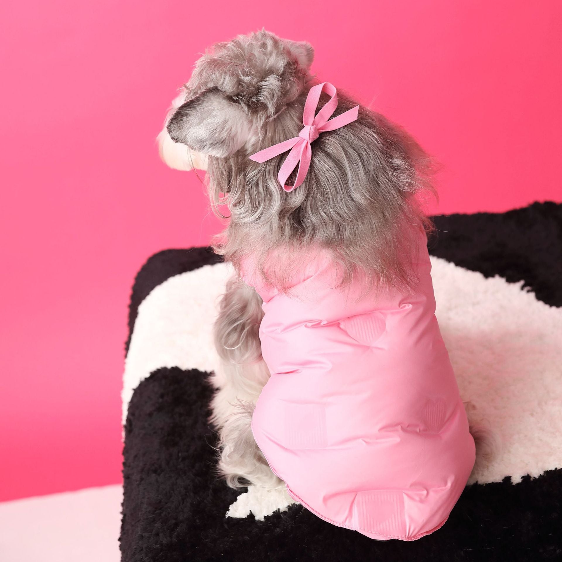 Charming dog wearing a thick pink winter vest, showcasing warmth and comfort on a cozy blanket.