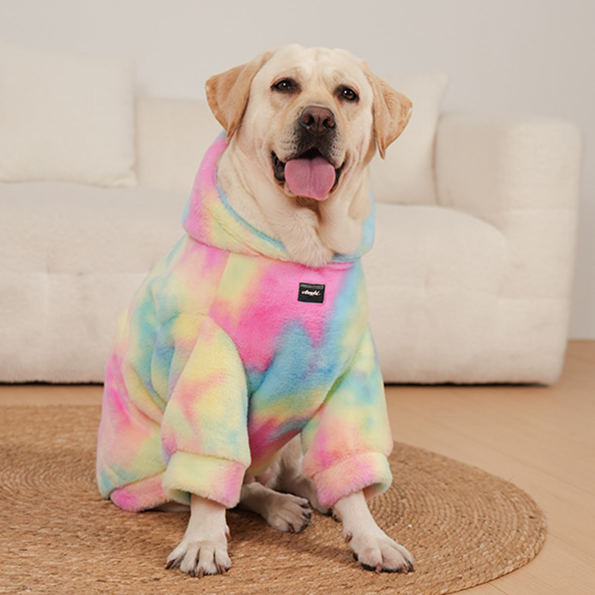 Chien portant un pull en fourrure de lapin tie-dye couleurs arc-en-ciel, sur un tapis rond, dans un intérieur confortable.