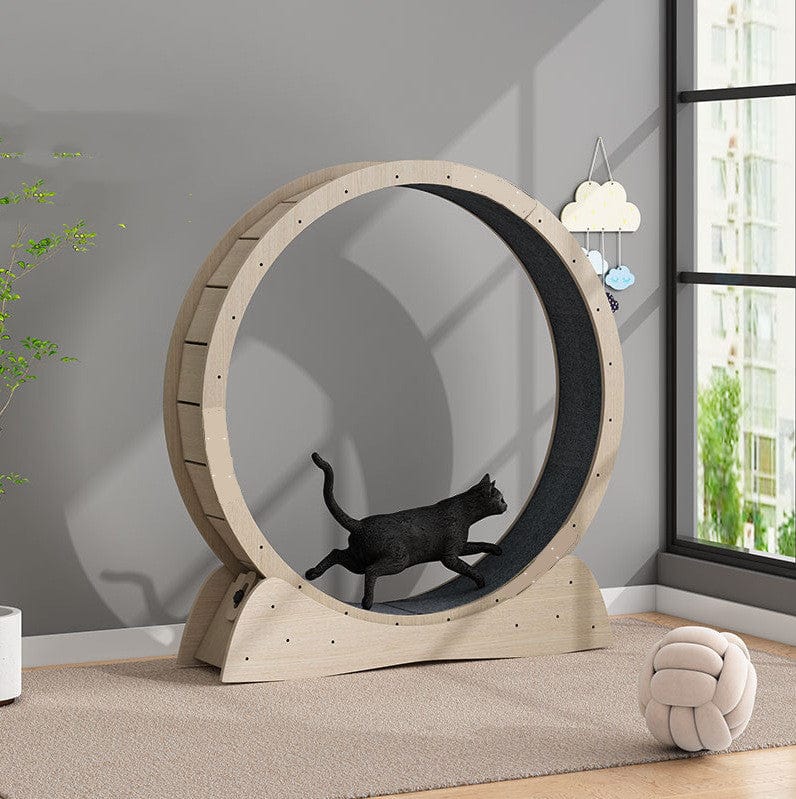 Tapis de course silencieux pour chats en intérieur, favorisant l'exercice et la santé des félins.