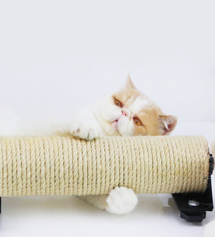Un chat détendu sur un griffoir en sisal, idéal pour gratter et entretenir ses griffes.