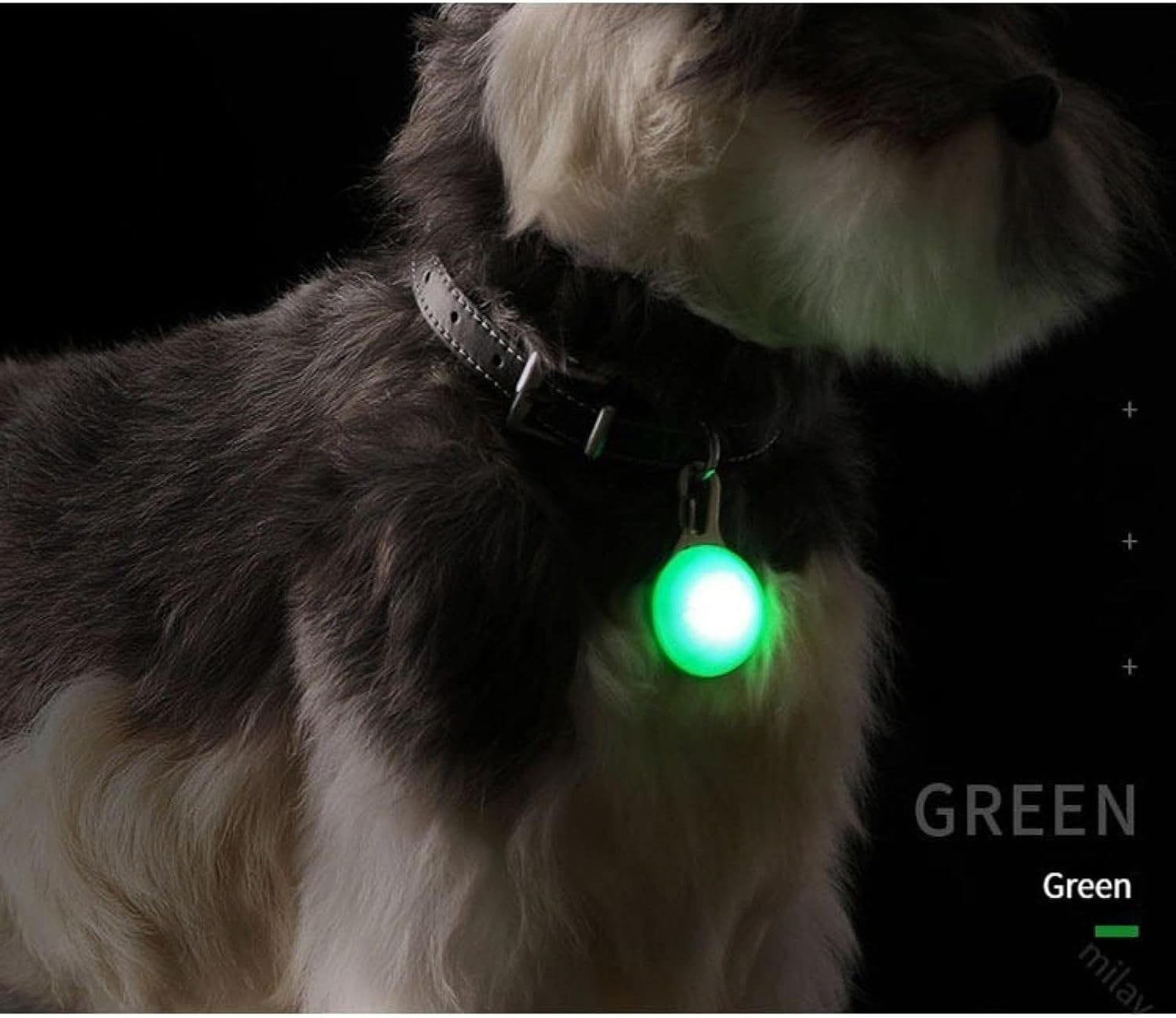 Pendentif lumineux LED vert sur collier de chien pour visibilité nocturne et sécurité.