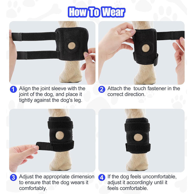 Instructions for fitting a dog knee brace: aligning, fastening, adjusting for comfort.