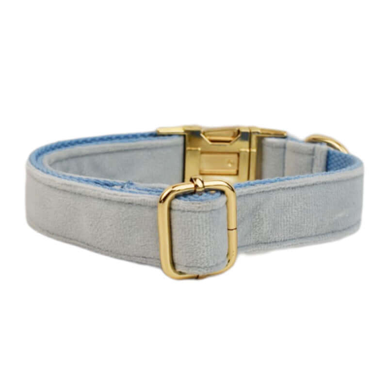 Collier en velours pour chien de couleur bleue avec boucle dorée pour un style élégant et confortable.
