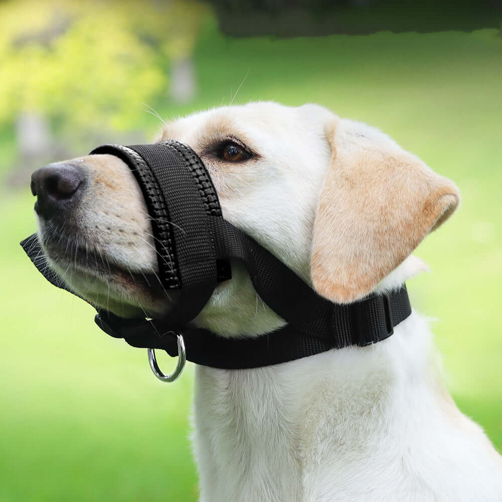Muselière anti-aboiement en nylon pour chien, confortable et durable, idéale pour promenades et vétérinaire.
