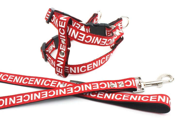 Collier traction polyester rouge pour chien avec laisse assortie, accessoire durable et confortable pour promenades.