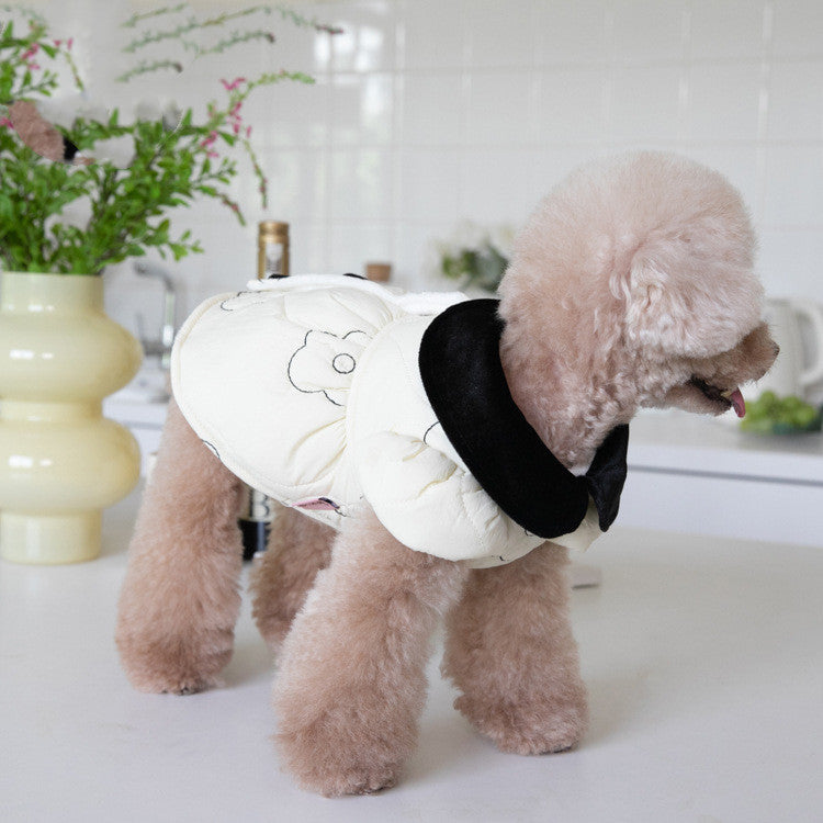 Chien avec un manteau en velours coton, prêt pour l'automne hiver, dans une cuisine moderne avec des plantes.
