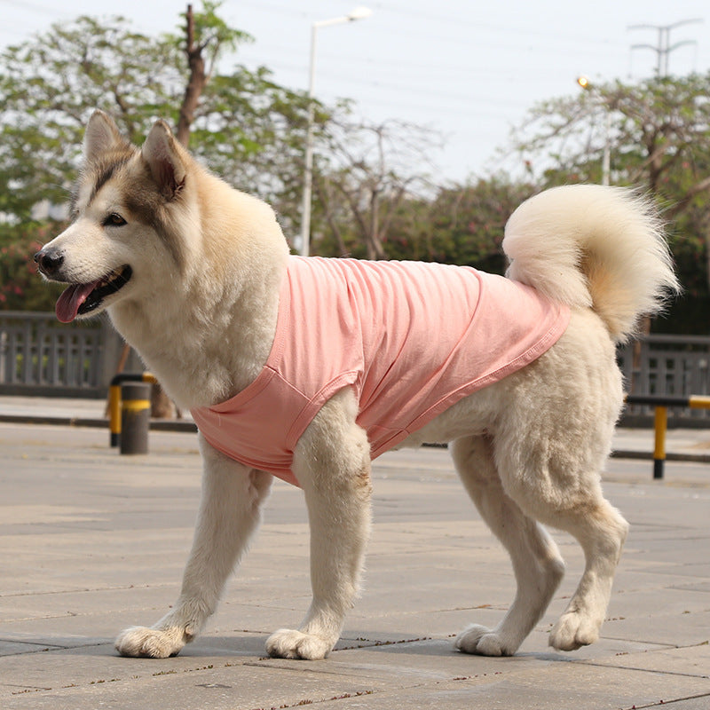 Chien portant un gilet en coton rose pour l'été dans un parc ensoleillé.
