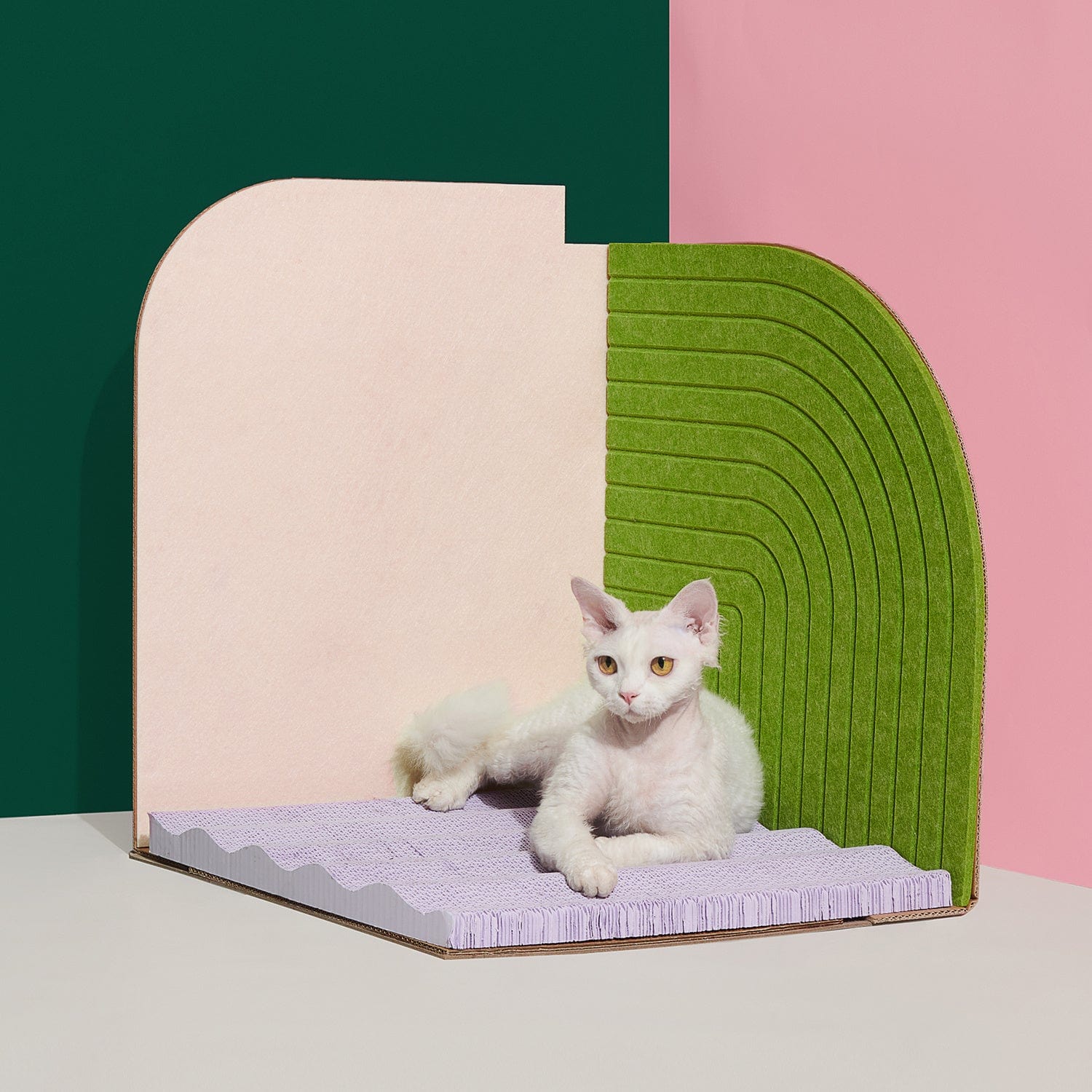 Chat blanc se reposant sur une planche à gratter verticale design, colorée et moderne.