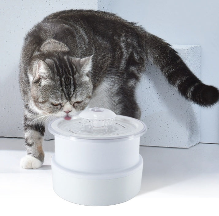 Chat en train de renifler la fontaine à boire pliable et lumineuse pour animaux de compagnie.