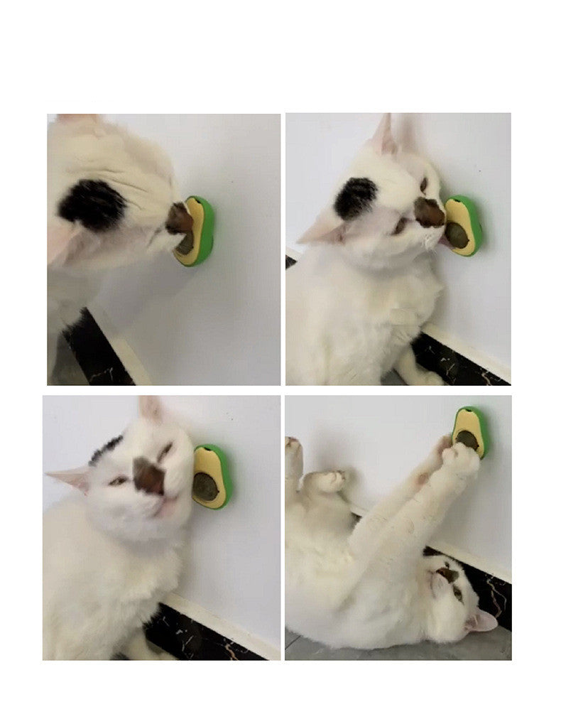 Jouet Multifonctionnel en Menthe à Chat Avocat