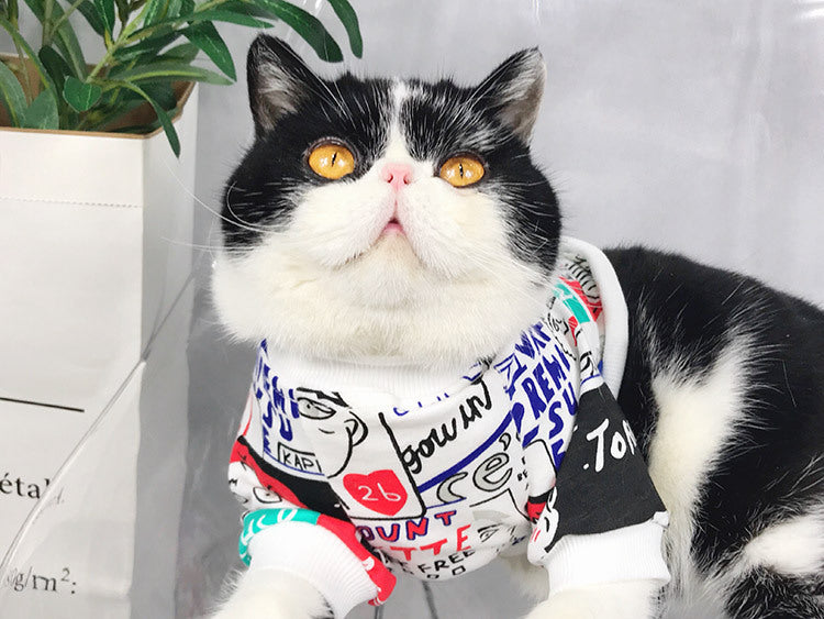 Chat portant un pull coloré avec des motifs amusants, regardant fièrement la caméra.
