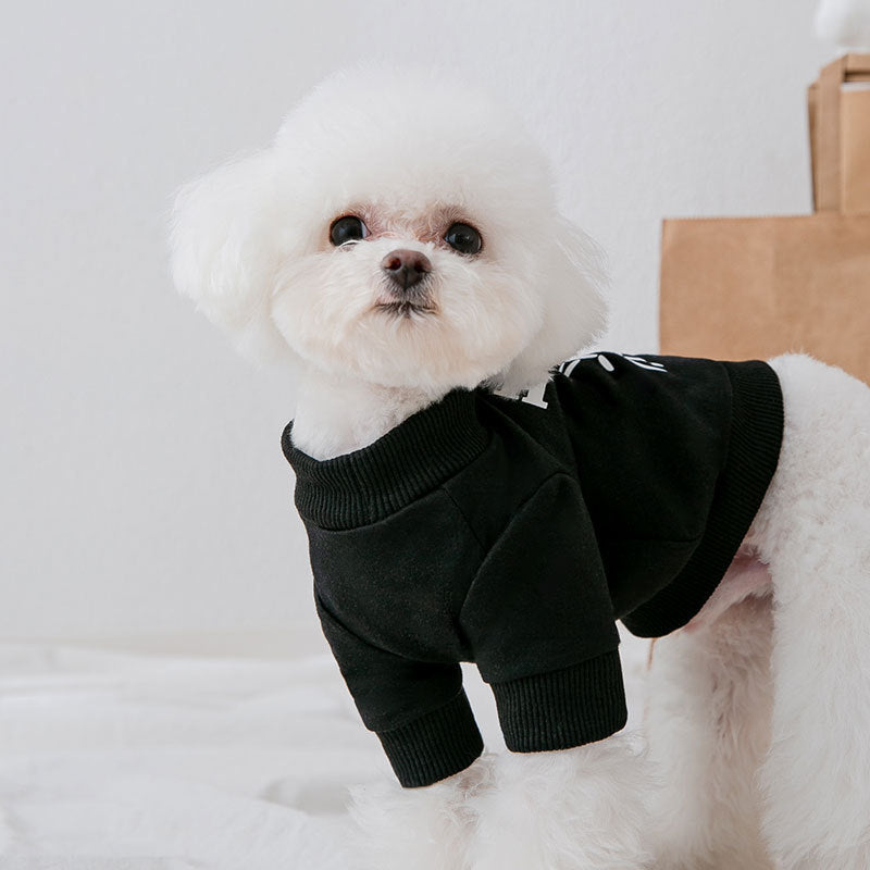 Chien en pull noir imprimé ours, mode canine, tissu éponge doux, look tendance.