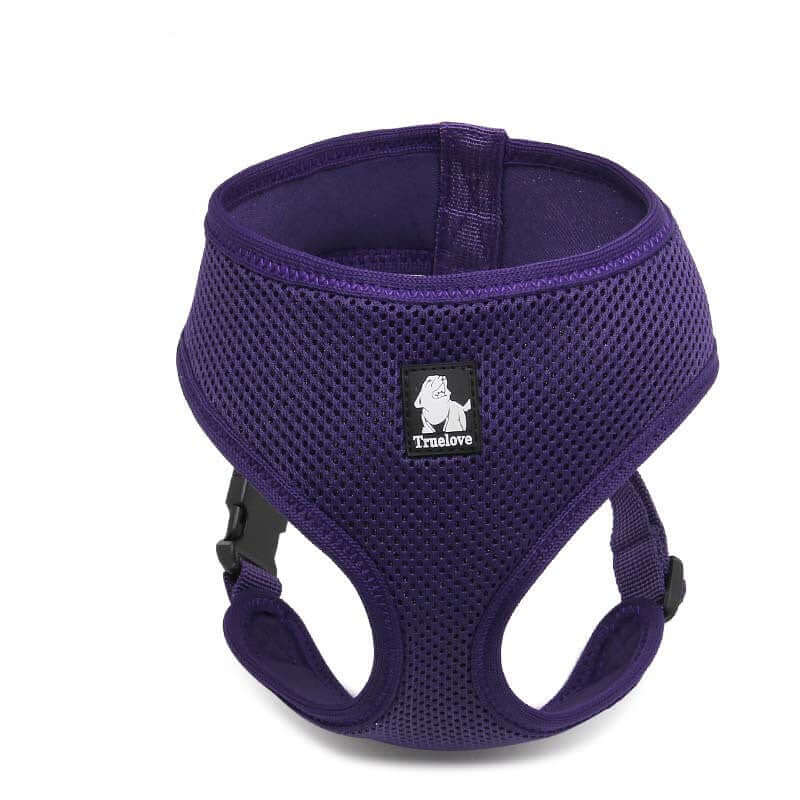 Harnais respirant pour chien en violet, confortable et sécurisé, pour petits et moyens chiens.
