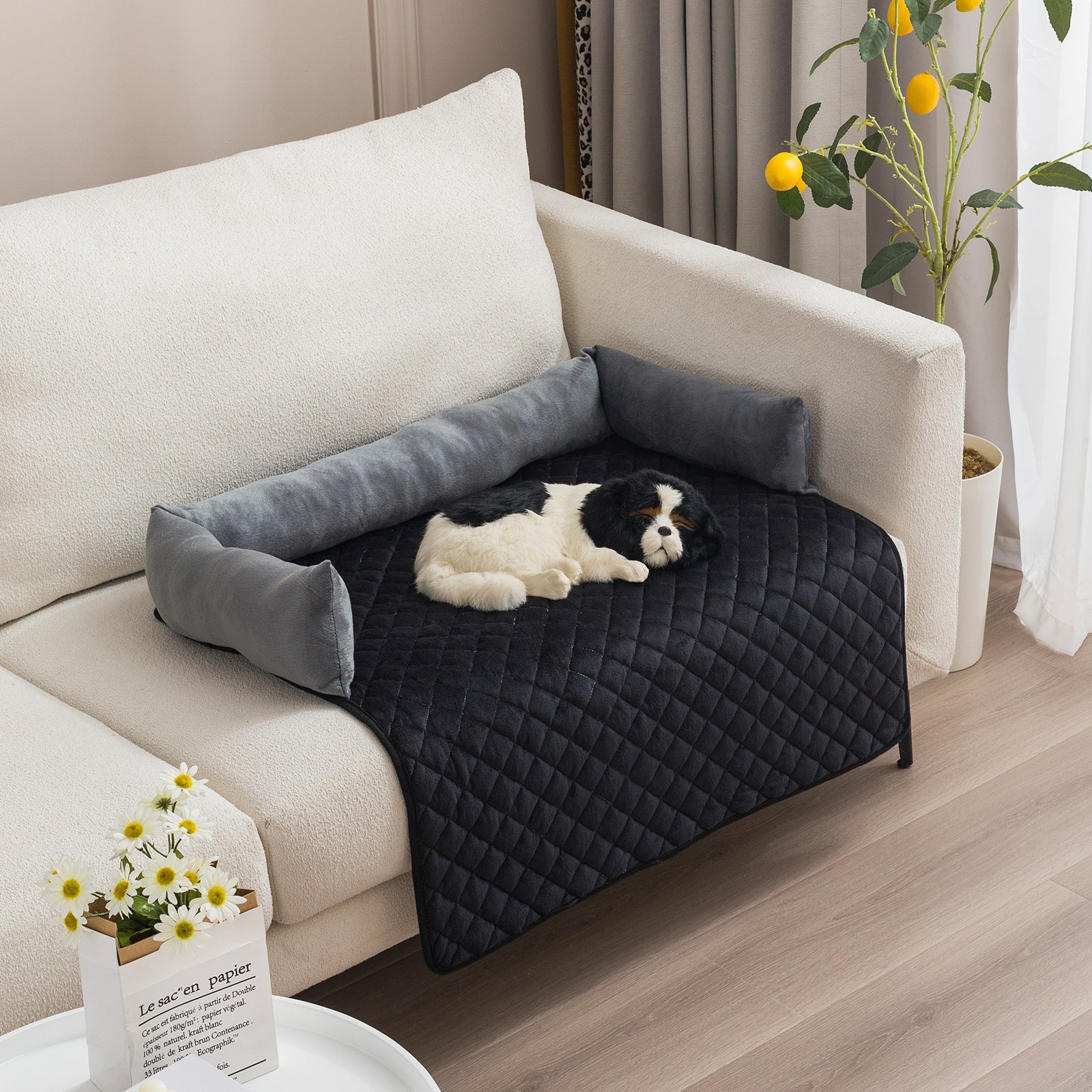 Canapé pour Chiens et Chats - Lit Douillet pour Animaux