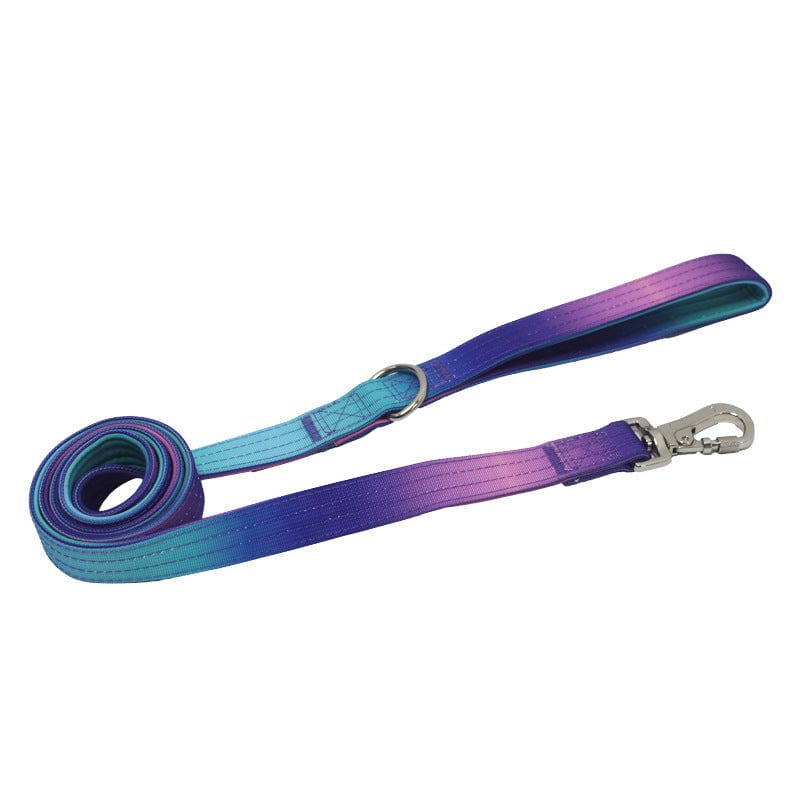 Laisse dégradée pour chien en bleu et violet, parfaite pour les promenades stylées et confortables.
