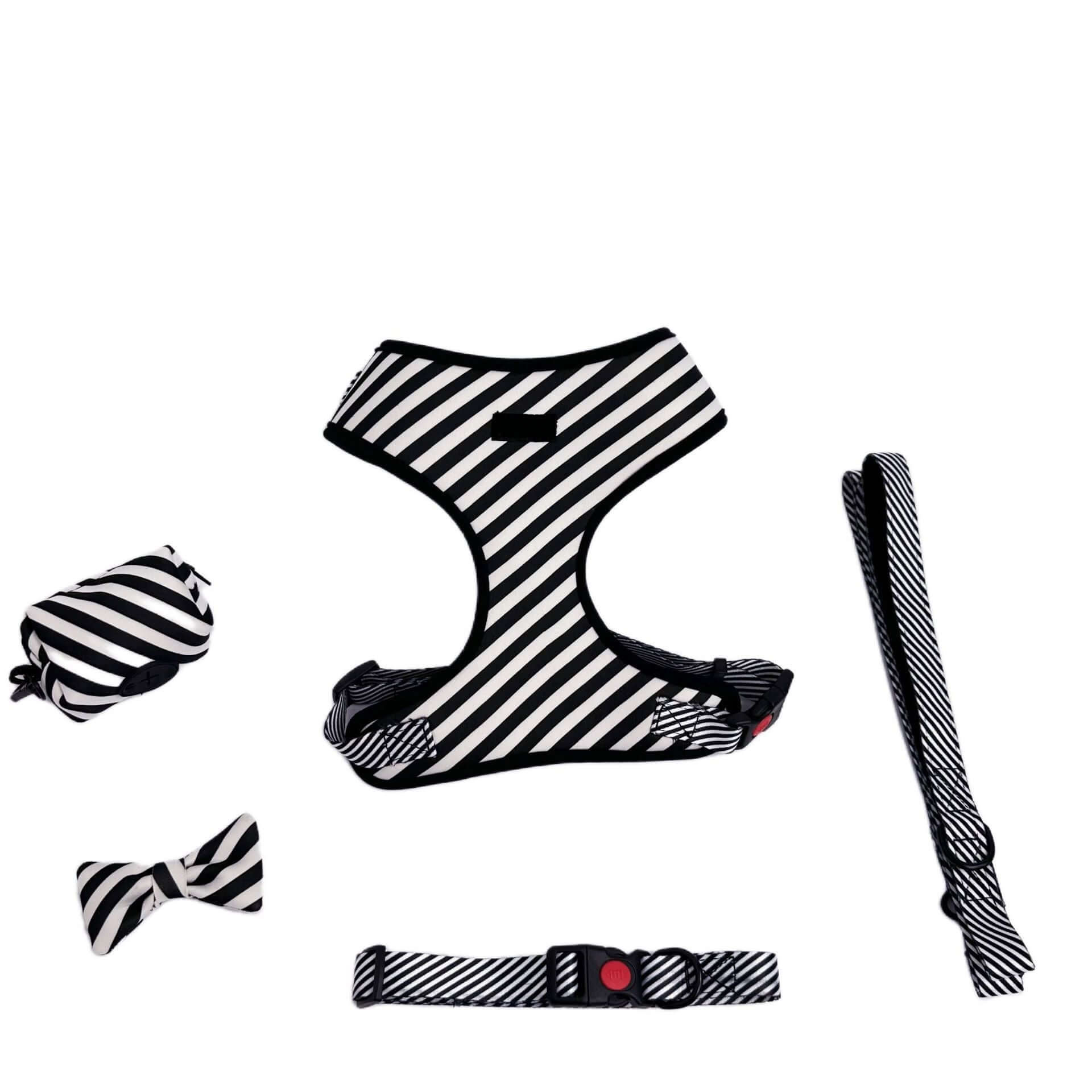 Harnais noir et blanc pour chien avec laisse, collier et accessoires assortis, offrant confort et style.