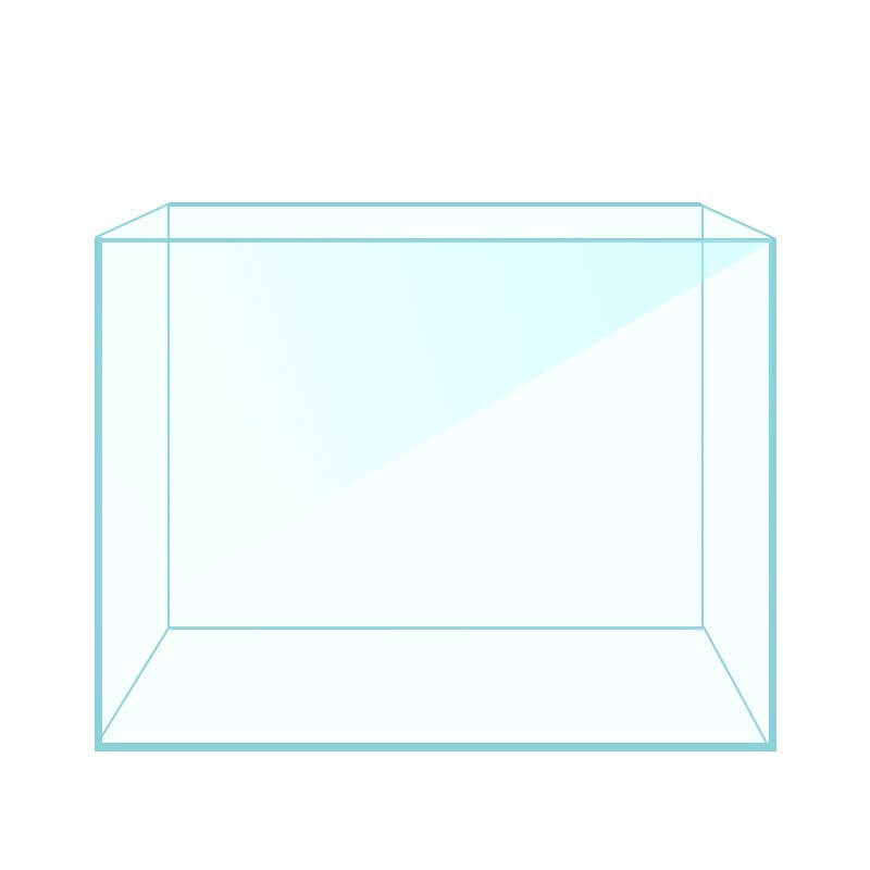 Aquarium en verre super blanc, élégant et fonctionnel pour bureau, parfait pour un décor apaisant.
