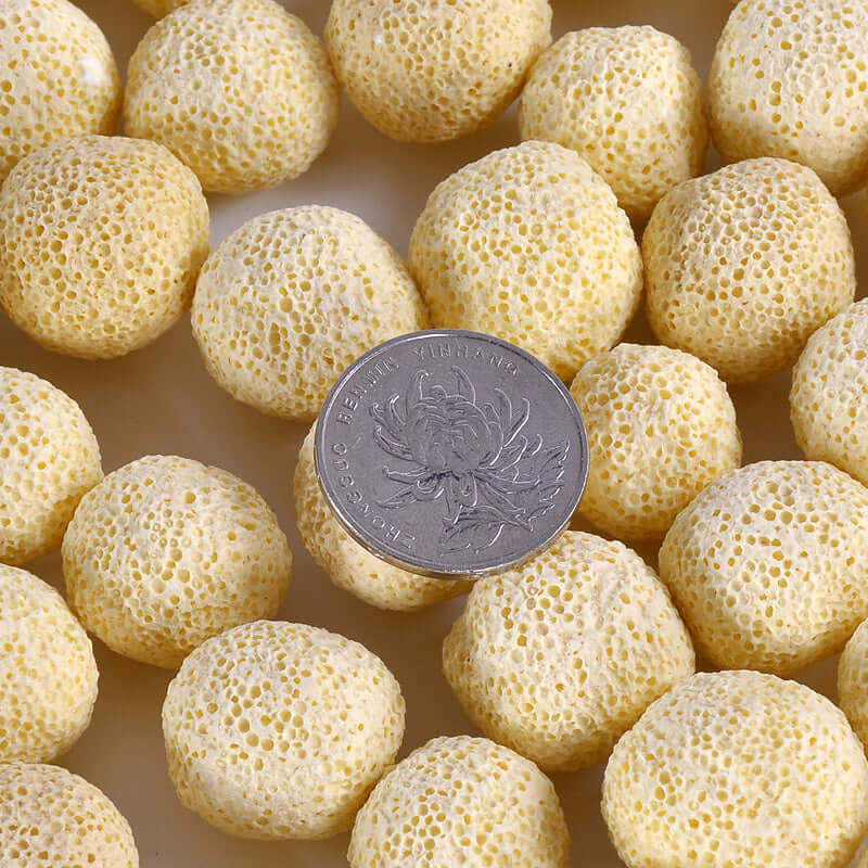 Boules bactériennes pour aquarium, durables et efficaces, avec une pièce de monnaie pour échelle.