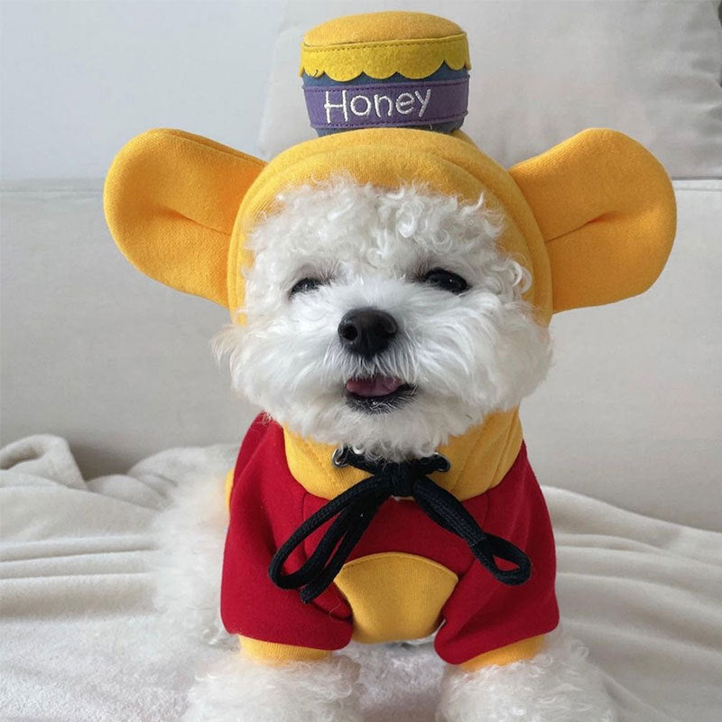 Chien habillé en costume coloré inspiré de Winnie l'Ourson, avec un chapeau en pot de miel.