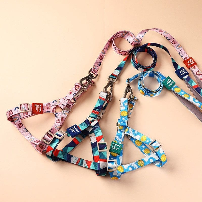 Colorful dog harnesses and leashes in various patterns and styles, ideal for pet walks and adventures.