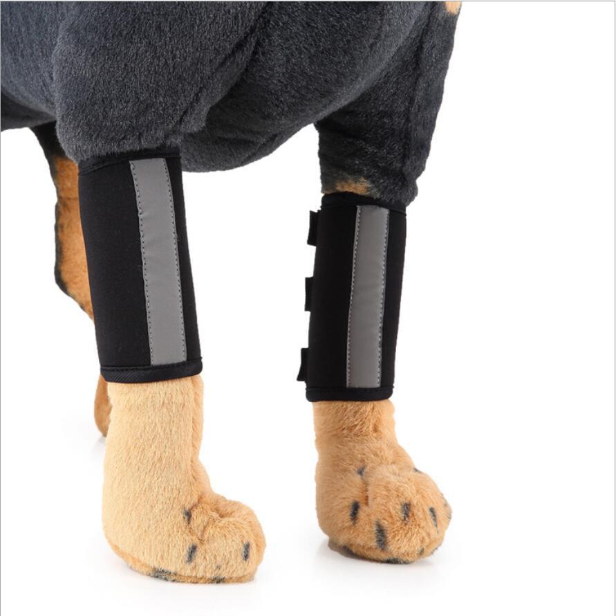 Protection de jambe pour chien en SBR, avec panneaux réfléchissants, idéal pour le confort et la sécurité des animaux.