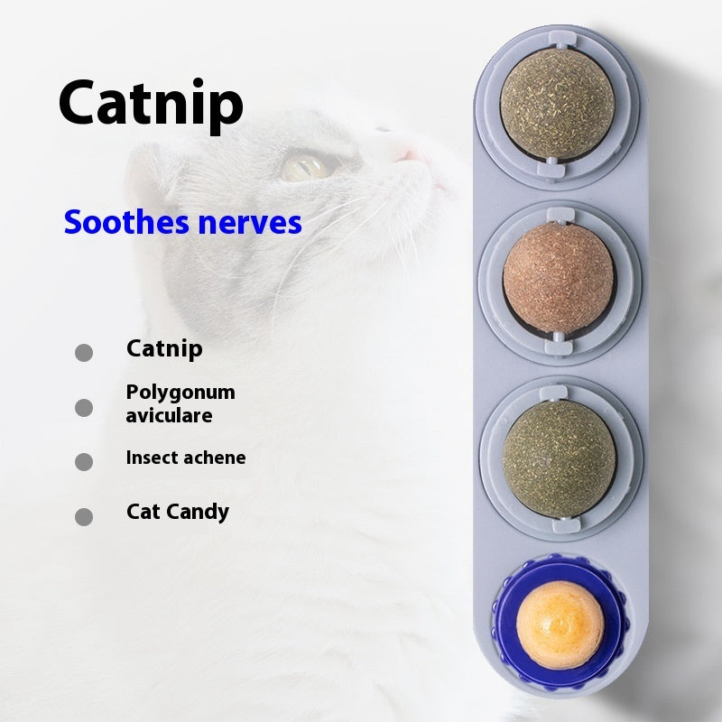 Balle en Herbe à Chat - Jouet Autonome