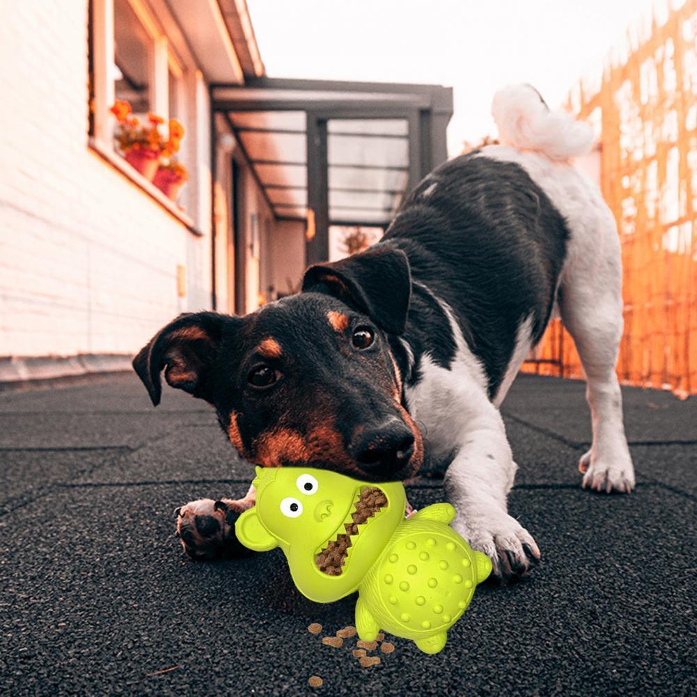 Jouet à Mâcher en Caoutchouc pour Chien