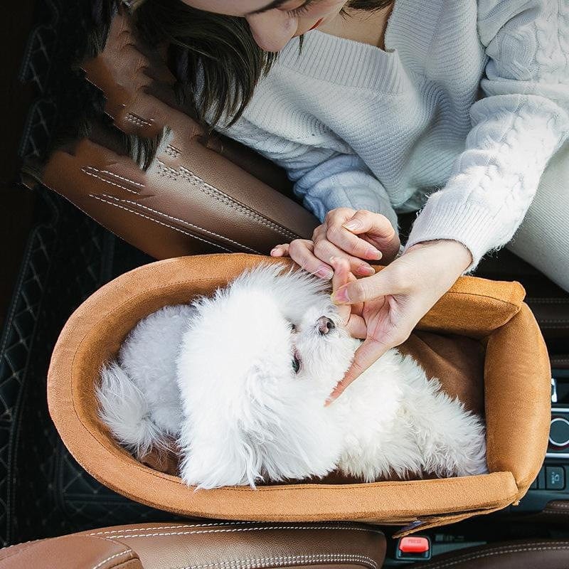 Femme avec un chien dans un panier pour voiture Artifact Anti-Sale, style et confort pour animaux.