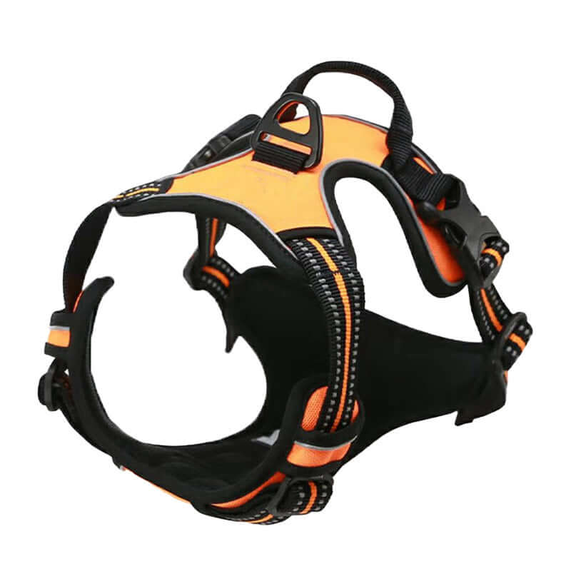 Gilet anti-choc réfléchissant orange pour chien, offrant sécurité et visibilité, idéal pour promenades et aventures.