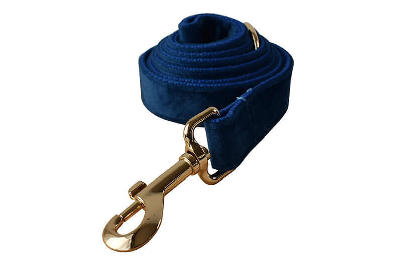 Laisse en velours bleu avec boucle dorée pour chien, accessoire élégant et durable.
