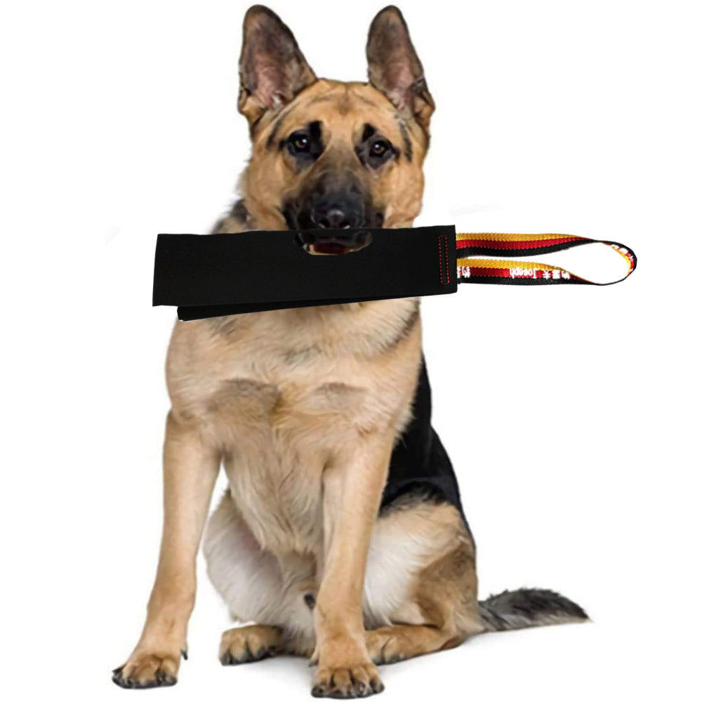 Jouet de Dressage en Cuir Crazy Horse pour Chiens