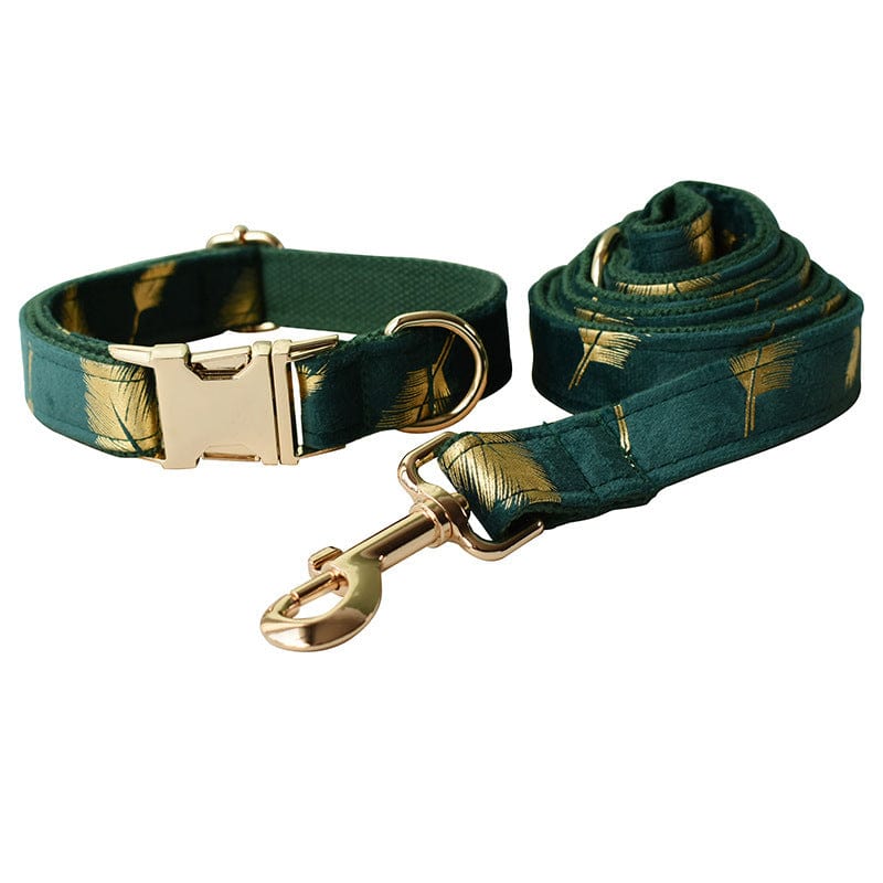 Collier et laisse en motif plume émeraude pour chien, en coton durable avec détail doré.