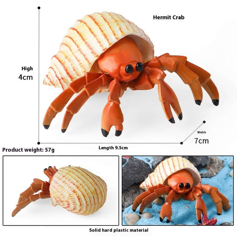 Modèle en plastique de crabe ermite, jouet éducatif pour enfants, taille 4cm de hauteur, 9,5cm de longueur.