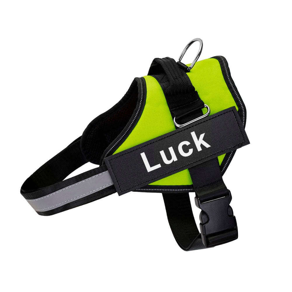 Harnais pour chien avec sangle ajustable, conçu pour le confort et la sécurité, couleur verte.
