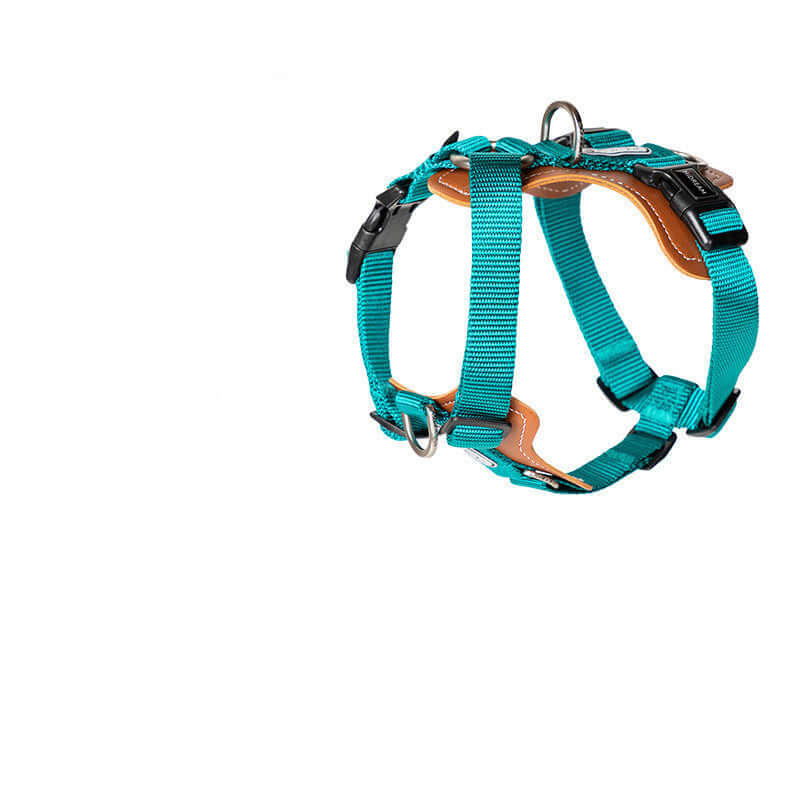 Harnais de sécurité pour chien en nylon turquoise, ergonomique et durable, offrant confort et sécurité.