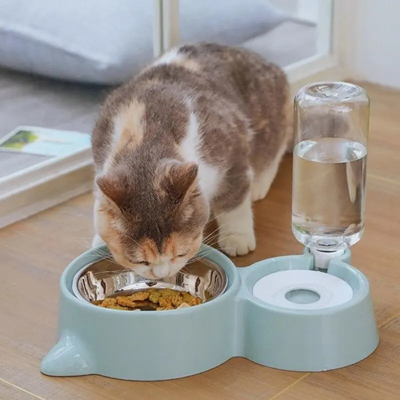 Distributeur automatique d'eau et de nourriture pour animaux avec un chat en train de manger.