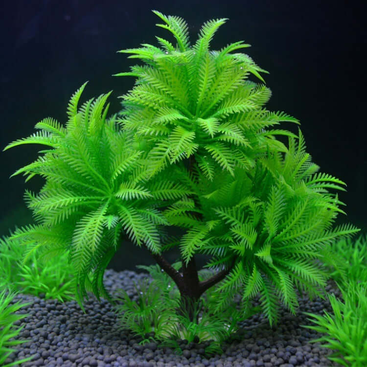 Plante aquatique artificielle verte pour aquarium, ajoutant une touche vibrante à votre écosystème sous-marin.