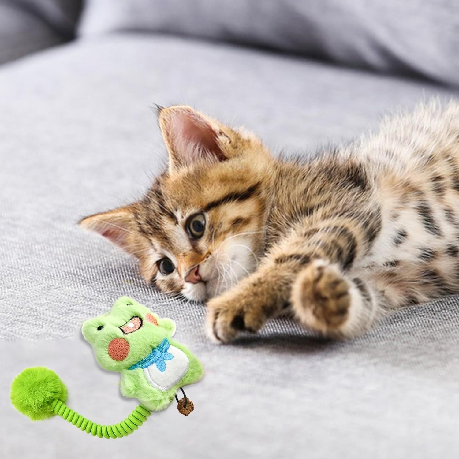 Jouets interactifs pour chat avec Silvervine et balle en peluche
