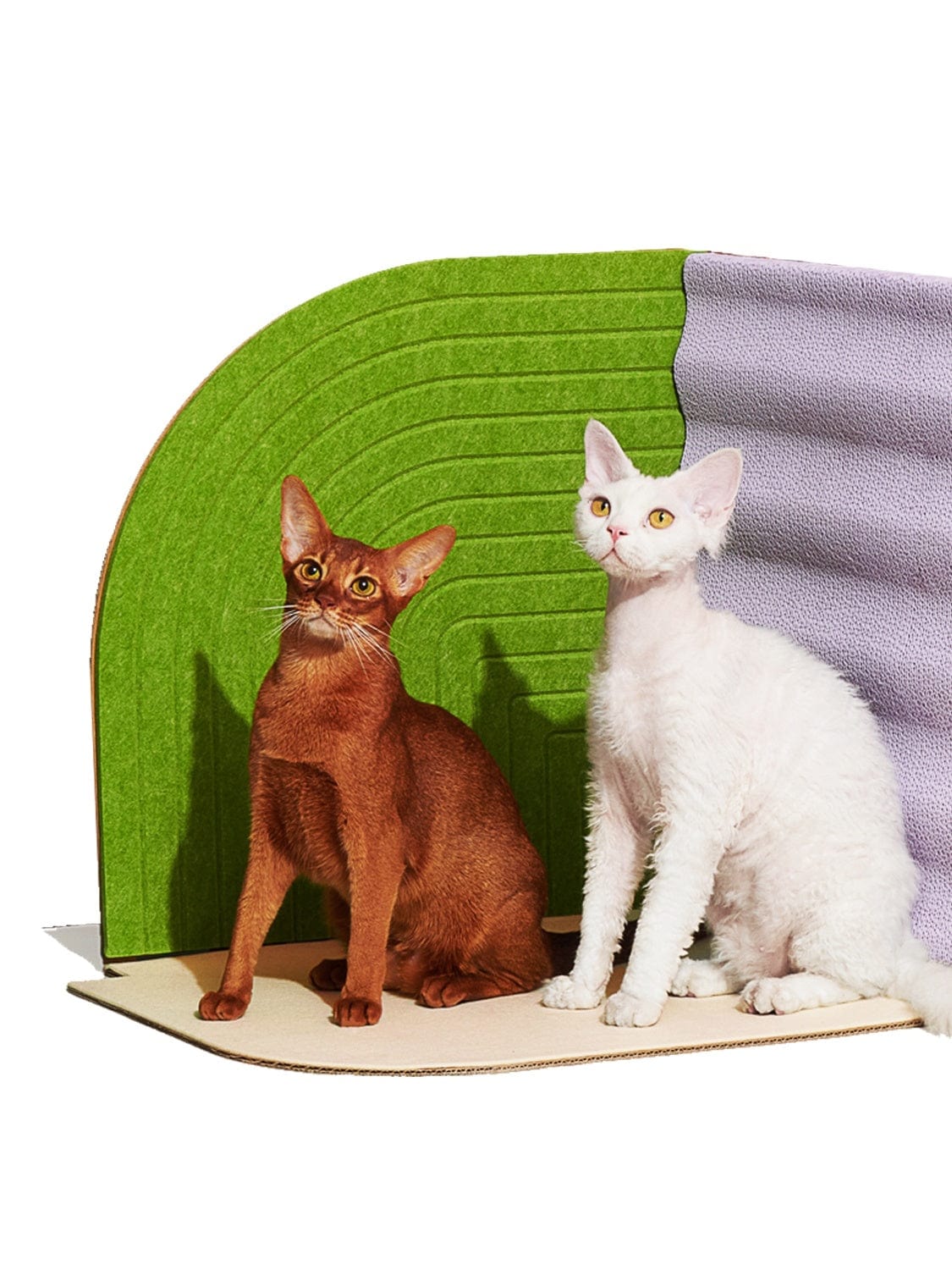 Deux chats assis sur une planche à gratter verticale, design moderne et coloré.