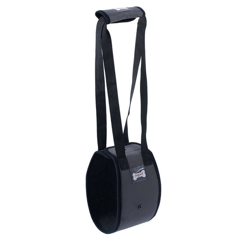 Ceinture de protection noire pour chien, offrant soutien et confort pendant les promenades.