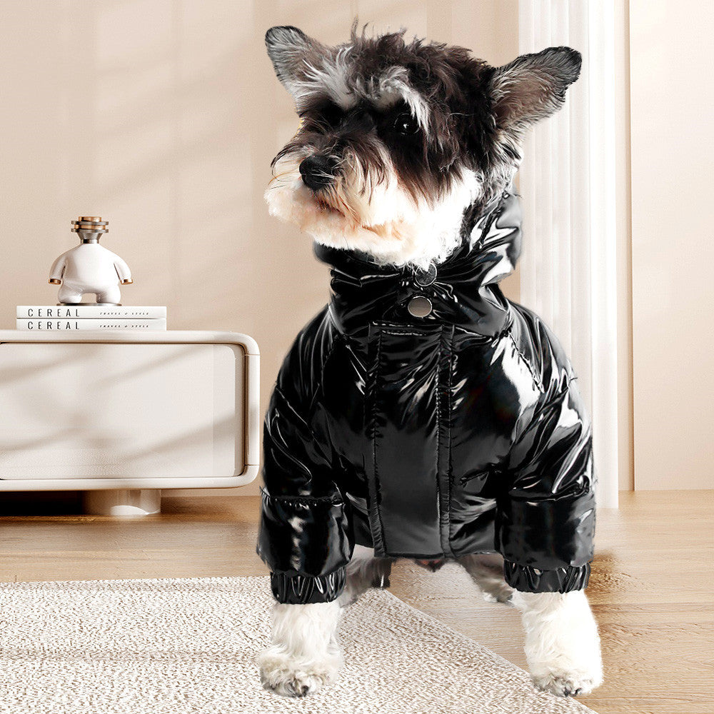 Chien portant une veste douillette en duvet épais, idéale pour l'hiver, sur un tapis élégant.