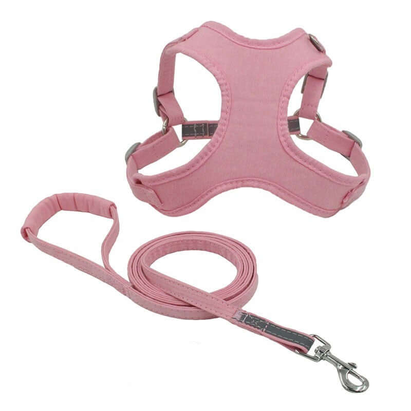 Corde de traction légère et réfléchissante pour chien avec harnais rose, assurant confort et sécurité lors des promenades.