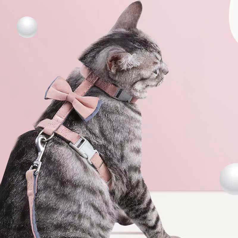 Chat portant une laisse I-shaped en coton coloré avec nœud, idéal pour le confort et le style.