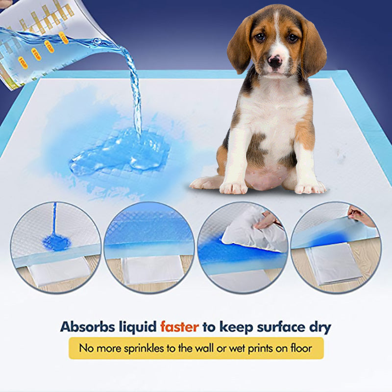 Tapis Hygiénique Absorbant pour Chiens
