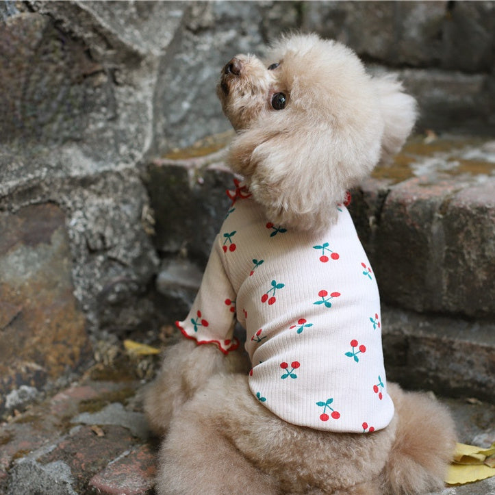 Charming cotton cherry-printed shirt with ruffled edges on a cute dog, perfect for fashionable pet outings.
