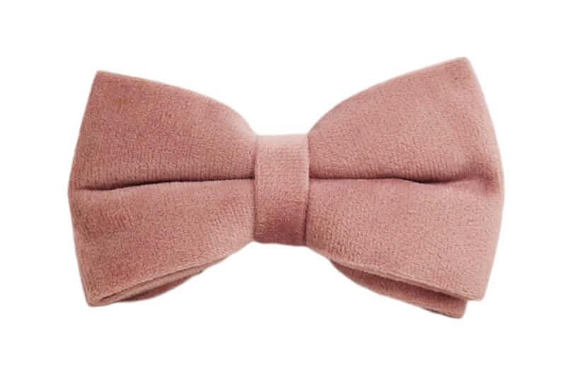 Noeud papillon en velours rose, accessoire élégant pour animaux de compagnie, ajout de style pour chiens et chats.