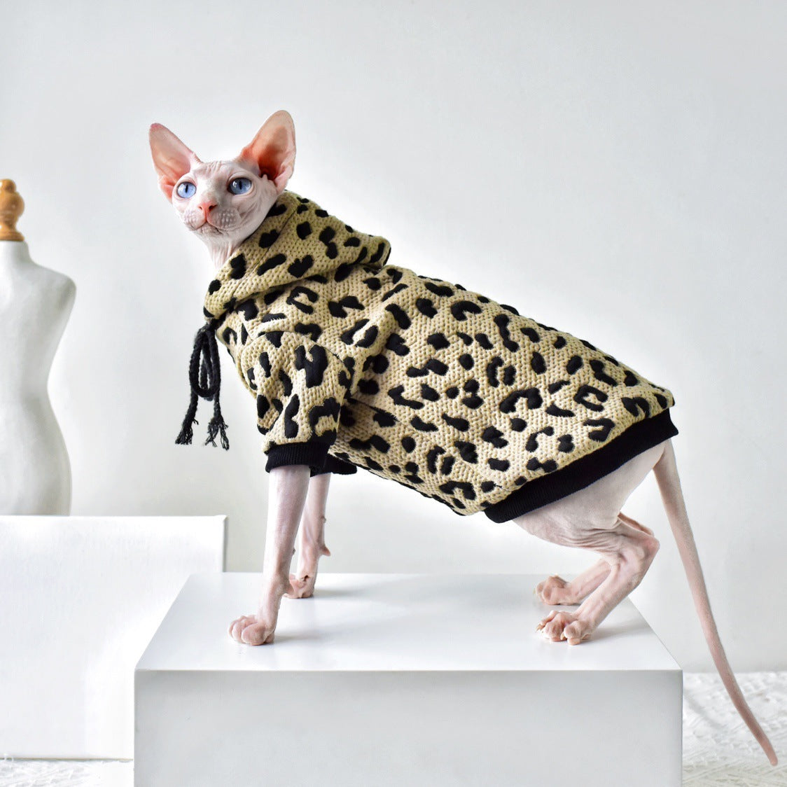 Sphynx cat wearing a beige camouflage cotton sweater on a display pedestal.