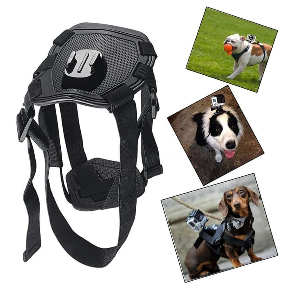 Harnais pour chien TANSUO avec support de caméra, idéal pour capturer des moments de jeu et de détente.