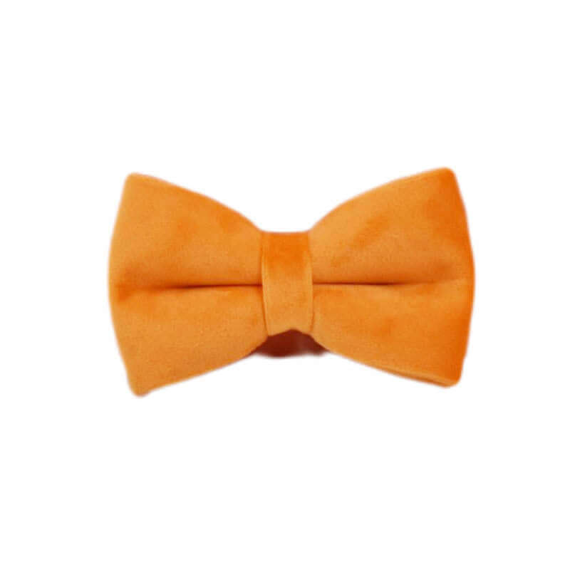 Collier en velours orange pour chien, accessoire élégant et confortable pour animaux.