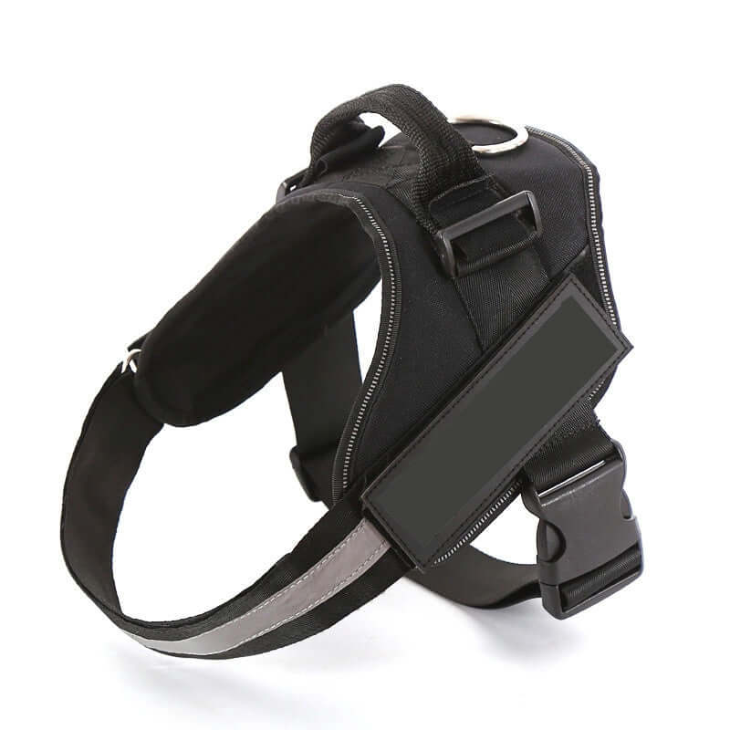 Harnais pour chien avec laisse réfléchissante, design confortable et sécurisé pour promenades en toute sécurité.